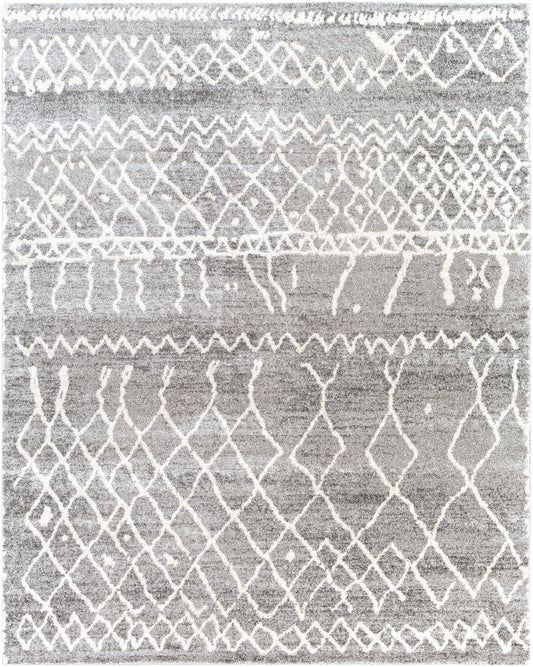 Andorra 26959 Machine Woven Synthetic Blend Indoor Area Rug by Surya Rugs