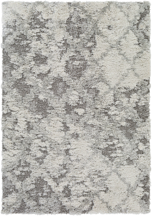 Alta shag 27002 Machine Woven Synthetic Blend Indoor Area Rug by Surya Rugs