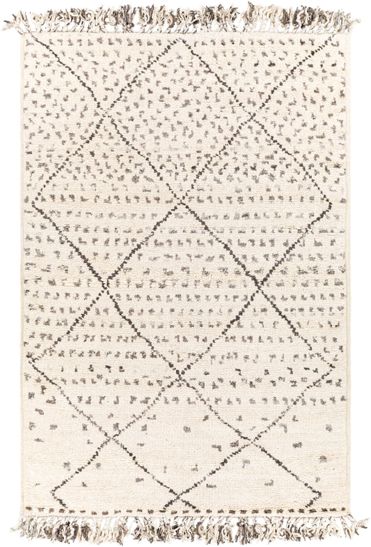 Meknes 26657 Hand Knotted Wool Indoor Area Rug by Surya Rugs
