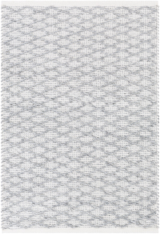 Modena 23132 Hand Woven Synthetic Blend Indoor Area Rug by Surya Rugs