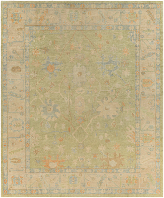 Antique One of a Kind 29835 Hand Knotted Wool Indoor Area Rug by Surya Rugs