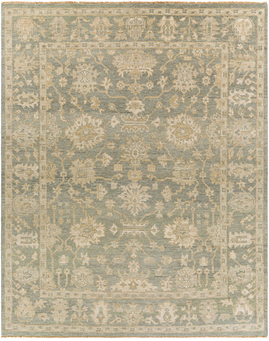 Reign 27342 Hand Knotted Wool Indoor Area Rug by Surya Rugs