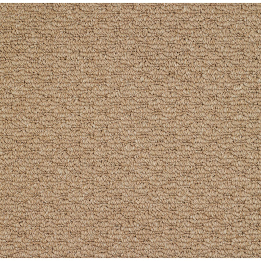 Raffia-BD Synthetic Blend Indoor Area Rug by Capel Rugs