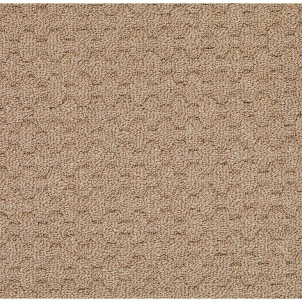 Grassy Mountain-BD Synthetic Blend Indoor Area Rug by Capel Rugs