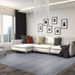 NOMAD 2662 POWER-LOOMED Synthetic Blend INDOOR Area Rug By Couristan Rugs