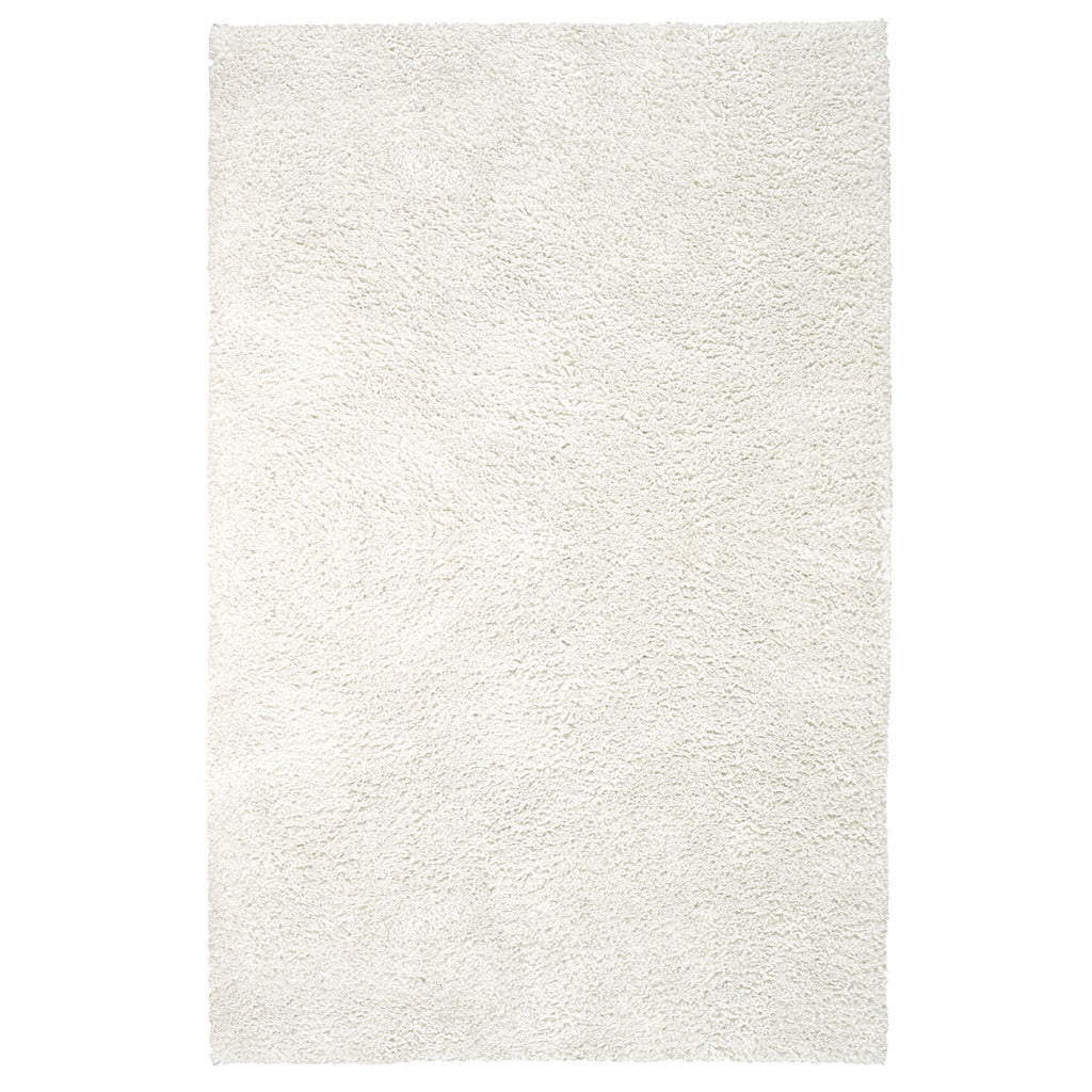 Felicity Shag Synthetic Blend Indoor Area Rug by Capel Rugs