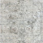 Dynamic CAPELLA 7977 Machine-Made Oriental Transitional Area Rug | Area Rug