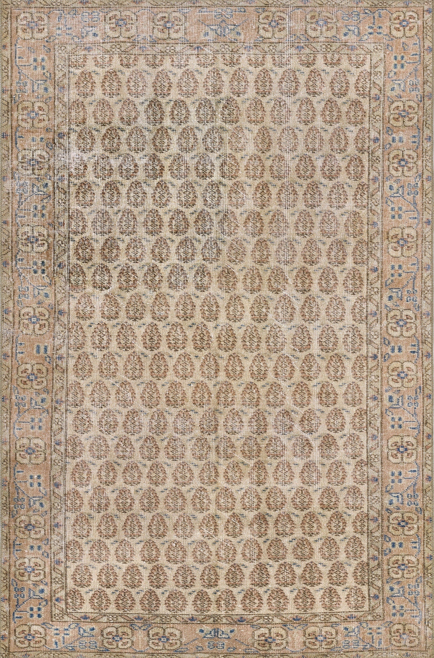 Momeni Dorset Oriental Machine Made Traditional Rectangle Indoor Area Rug