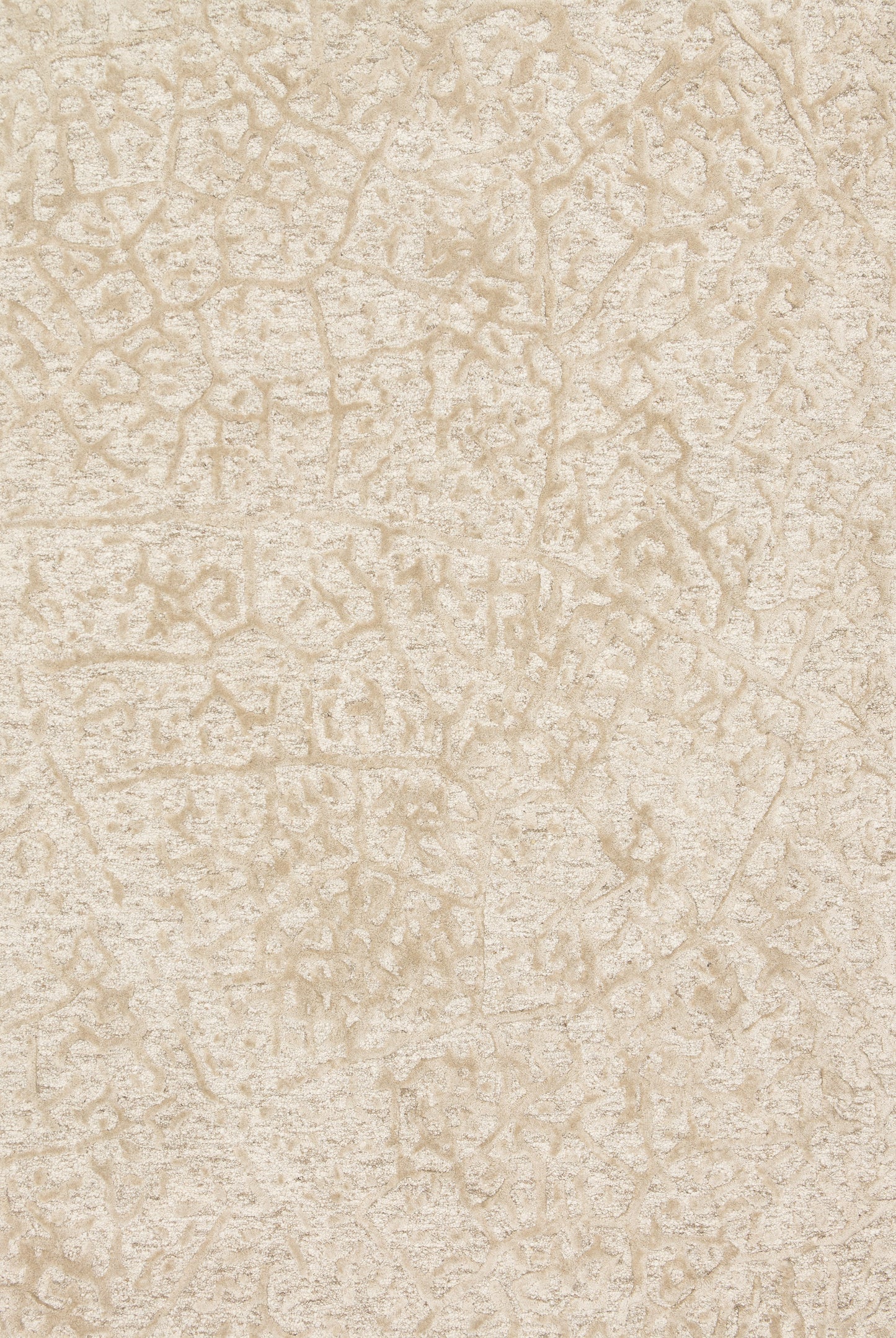 Loloi Juneau JY-03 Hand Tufted Contemporary Area Rug by Loloi