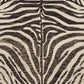 Loloi Masai MAS-01 Hooked Contemporary Area Rug by Loloi