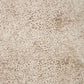 Loloi Neda NED-02 Power Loomed Transitional Area Rug by Loloi II