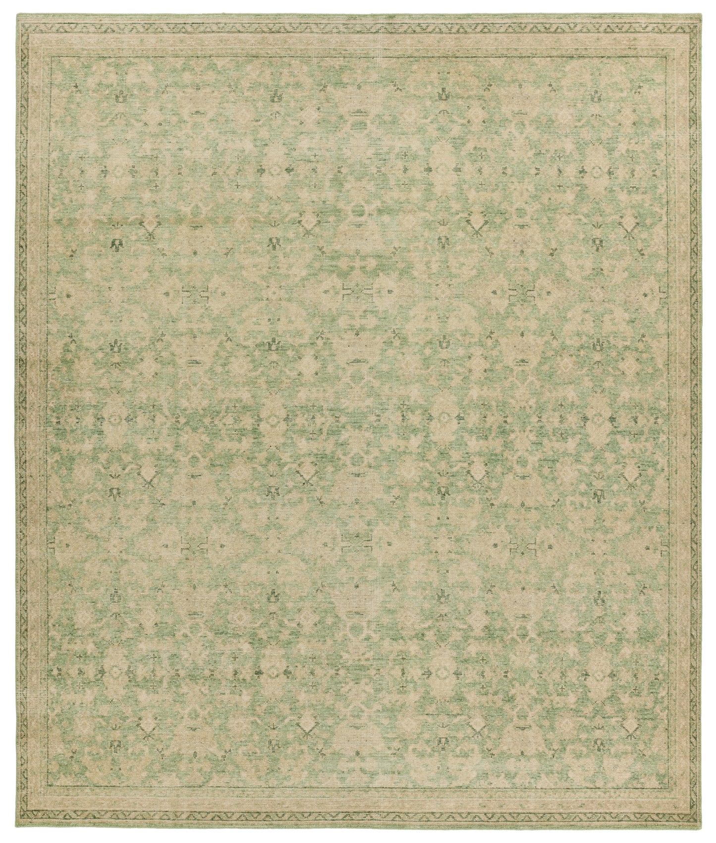 Onessa Rowland Handmade Wool Indoor Area Rug From Jaipur Living