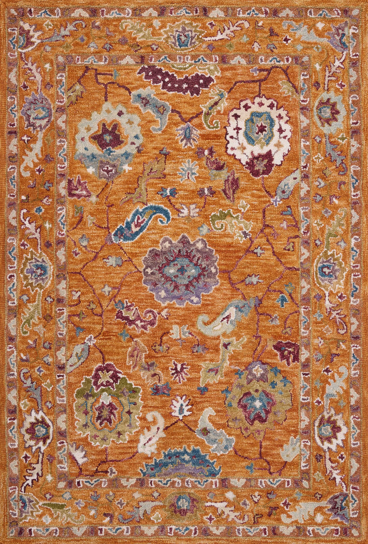 Loloi Padma PMA-01 Hooked Transitional Area Rug by Loloi