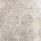 Dynamic QUARTZ 26190 Machine-Made Distressed Traditional Area Rug