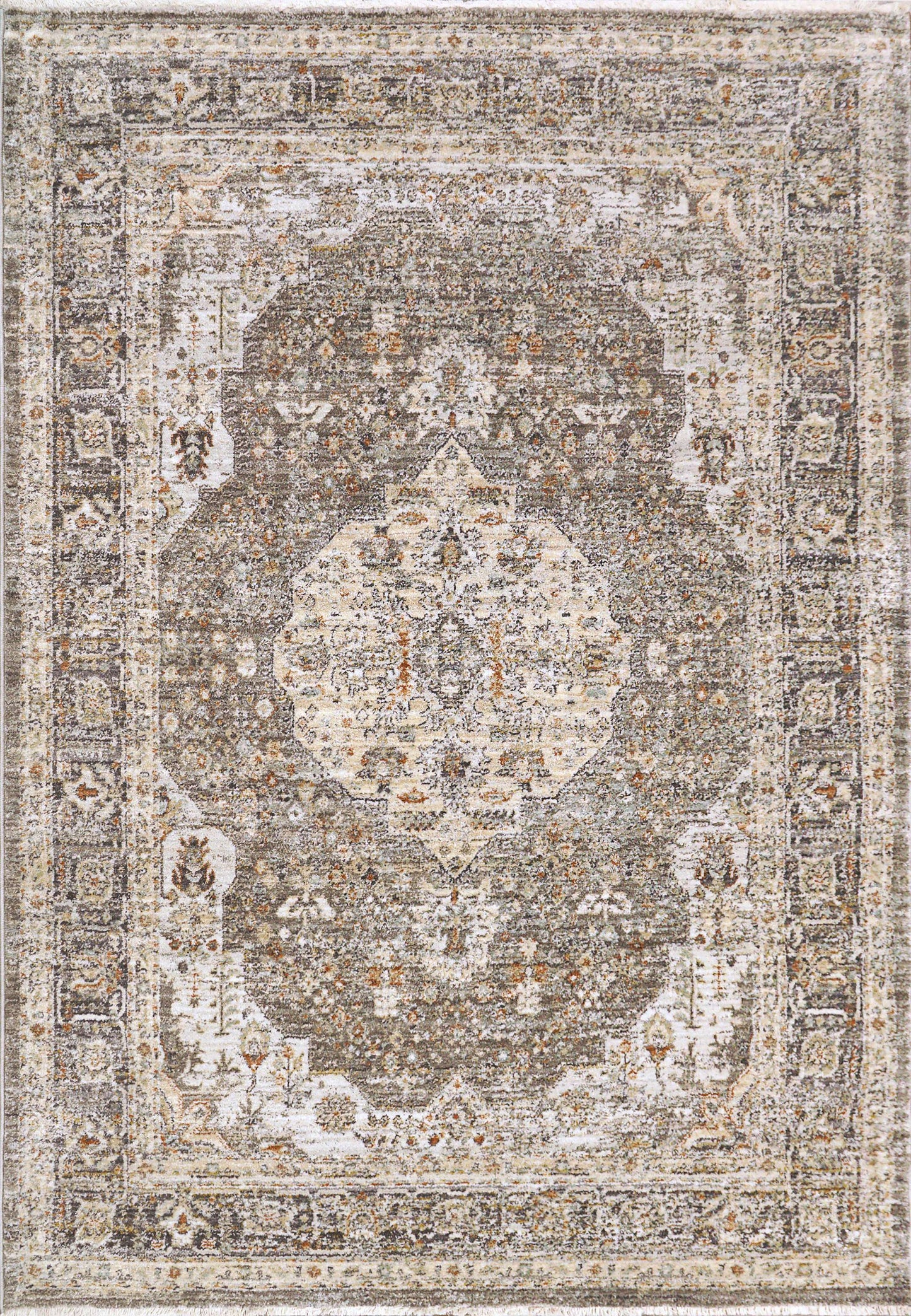 Dynamic ROJIN 4182 Machine-Made Oriental Traditional Area Rug