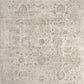 Dynamic RENAISSANCE 3157 Machine-Made Oriental Transitional Area Rug