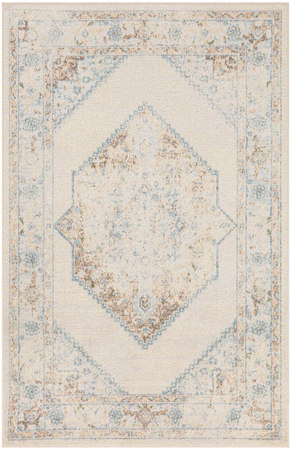 Nourison Home Astra Machine Washable ASW13 Vintage Persian Indoor Area Rug