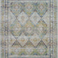 Nourison Home Ankara Global ANR07 Vintage Persian Indoor Area Rug