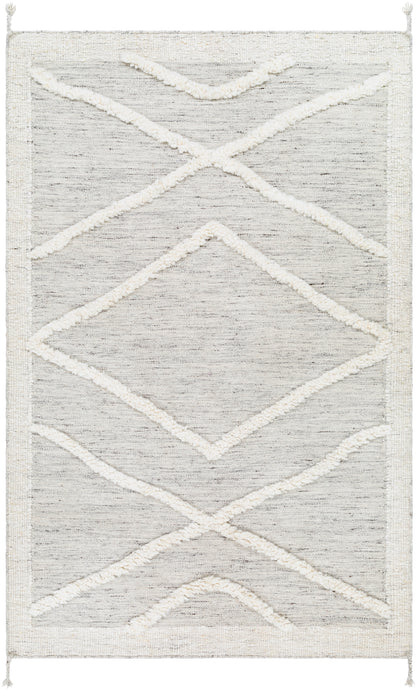 Tripoli 30938 Hand Knotted Wool Indoor Area Rug by Surya Rugs