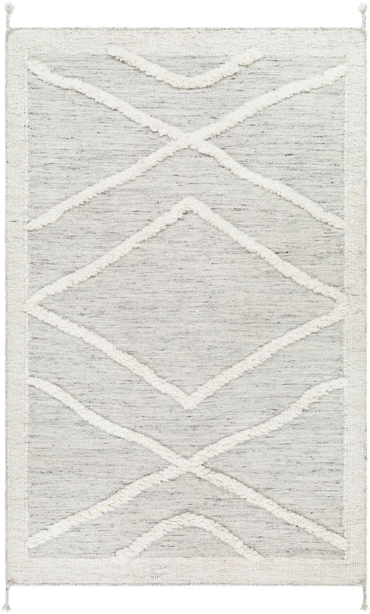 Tripoli 30938 Hand Knotted Wool Indoor Area Rug by Surya Rugs