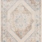 Nourison Home Astra Machine Washable ASW13 Vintage Persian Indoor Area Rug