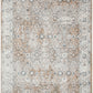 Nourison Home Astra Machine Washable ASW16 Vintage Persian Indoor Area Rug