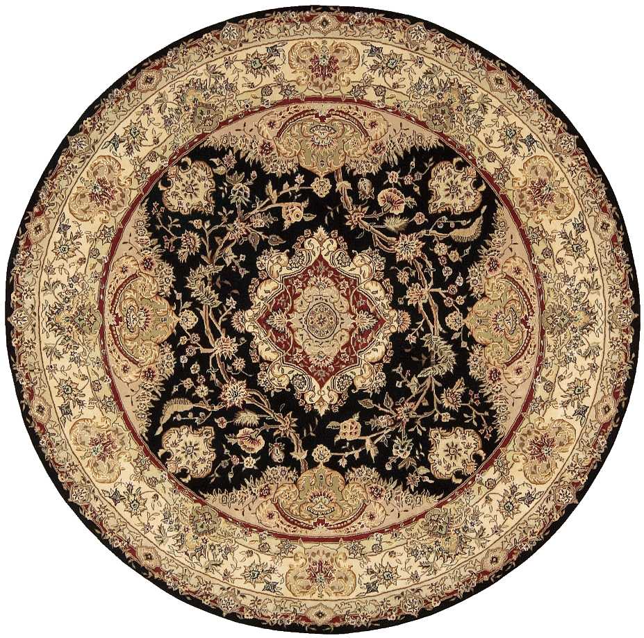 Nourison Home Nourison 2000 2028 Traditional Persian Indoor Area Rug