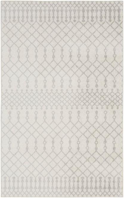 Nourison Home Astra Machine Washable ASW10 Bohemian Moroccan Indoor Area Rug