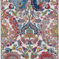 Nourison Home Ankara Global ANR06 Vintage Persian Indoor Area Rug