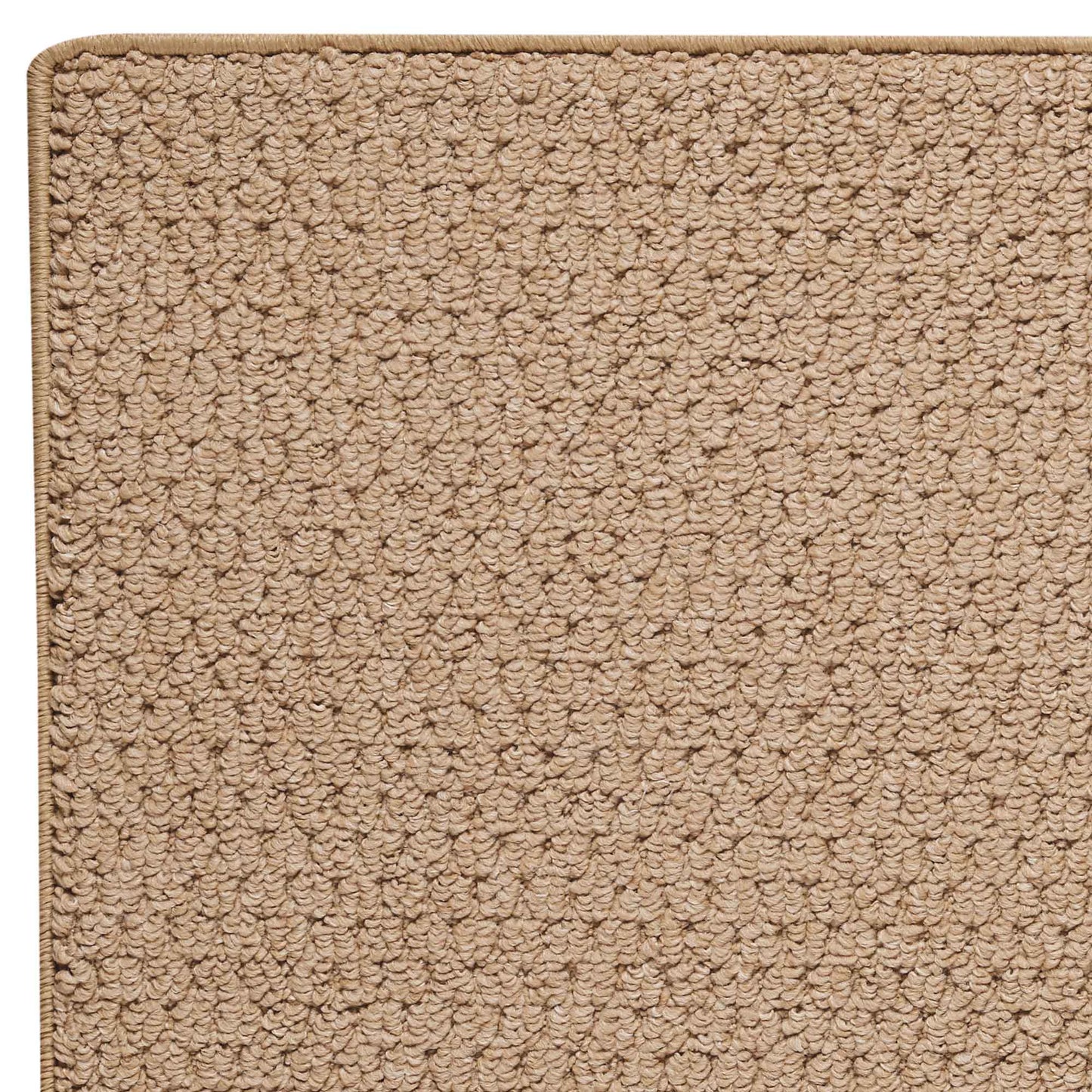 Raffia-SG Synthetic Blend Indoor Area Rug by Capel Rugs