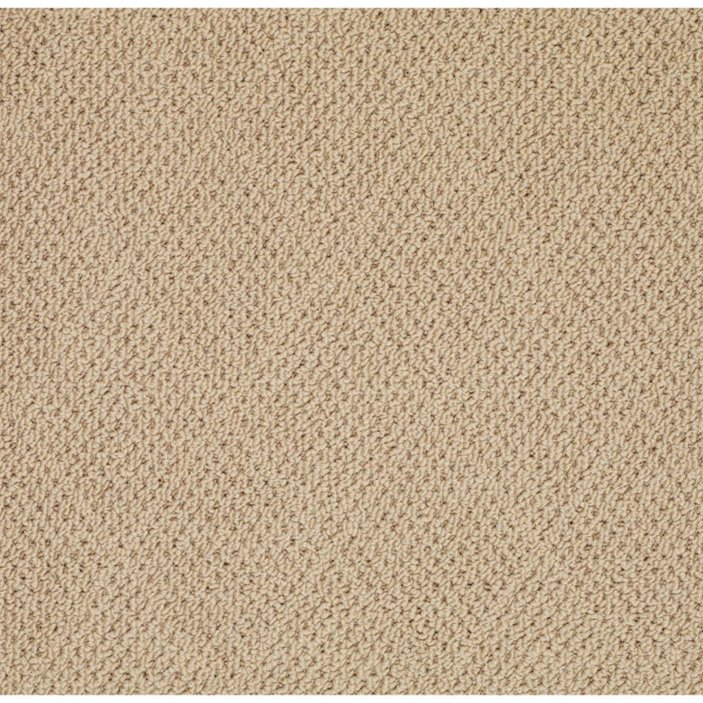 Cane Wicker-BD Synthetic Blend Indoor Area Rug by Capel Rugs