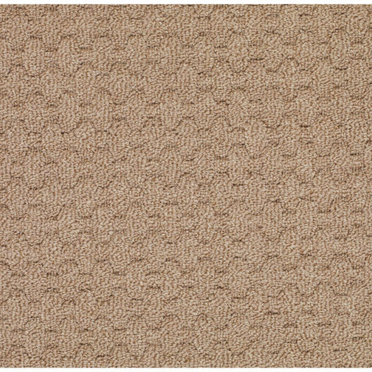 Grassy Mountain-BD Synthetic Blend Indoor Area Rug by Capel Rugs