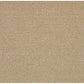 Sisal-BD Synthetic Blend Indoor Area Rug by Capel Rugs