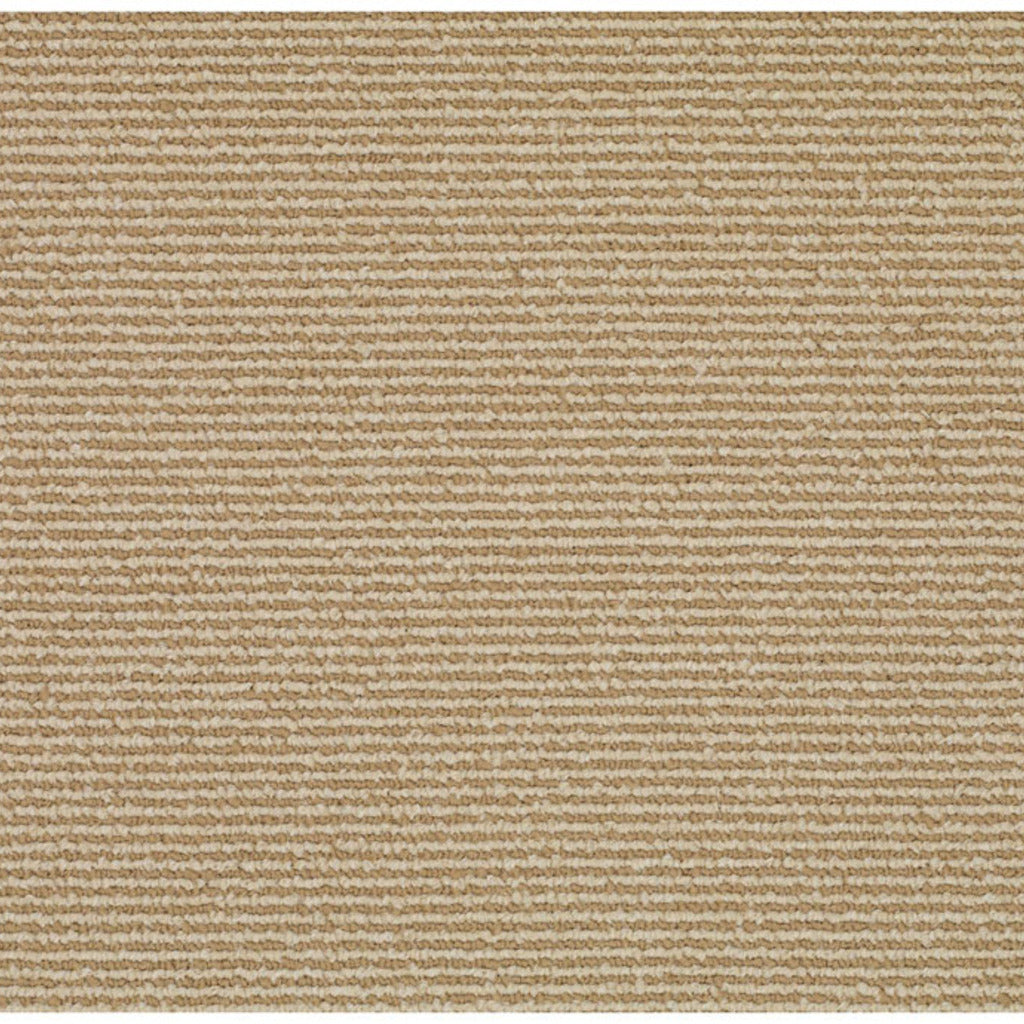 Sisal-BD Synthetic Blend Indoor Area Rug by Capel Rugs