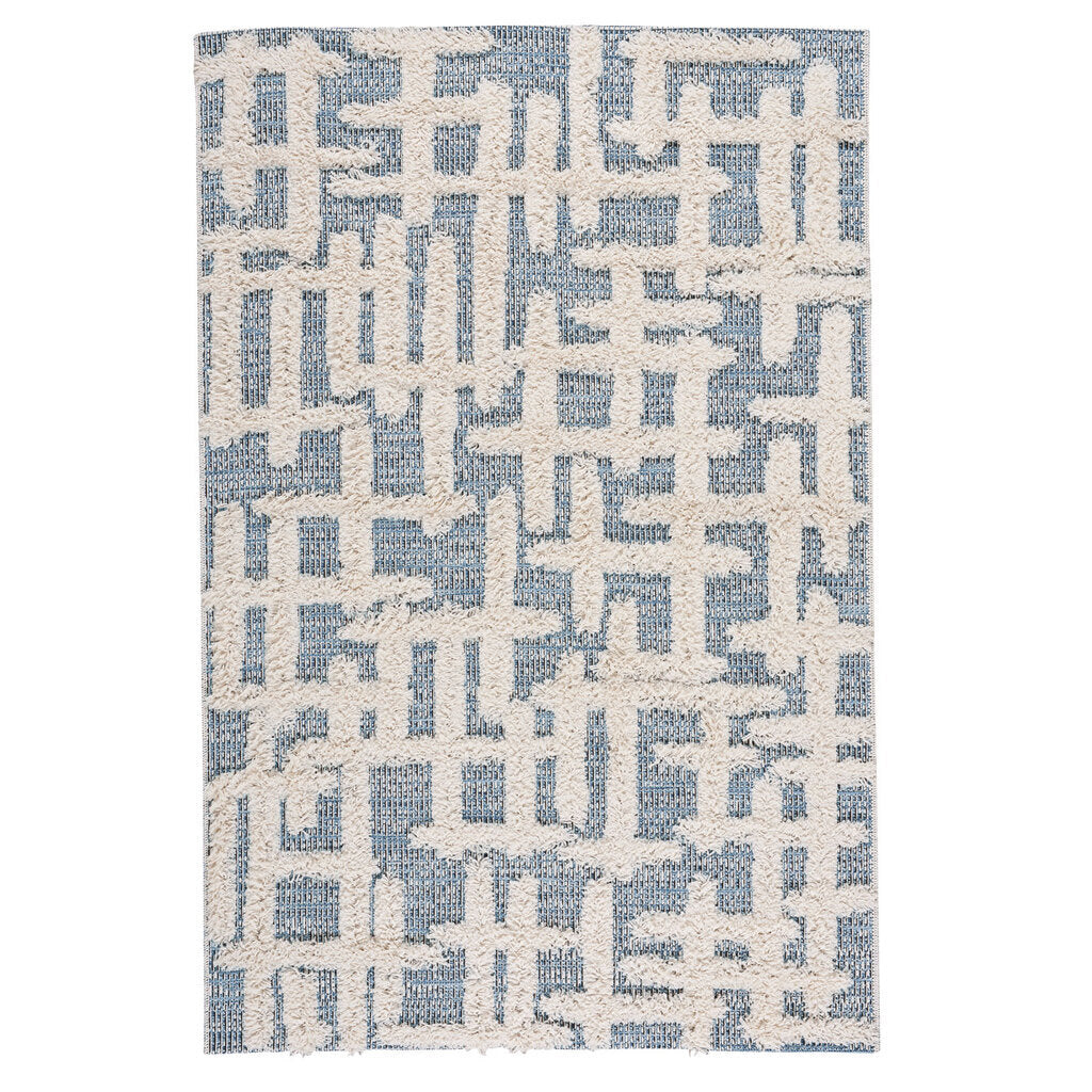 Raza Synthetic Blend Indoor Area Rug by Capel Rugs