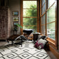 Adler AW Wool Indoor Area Rug from Loloi