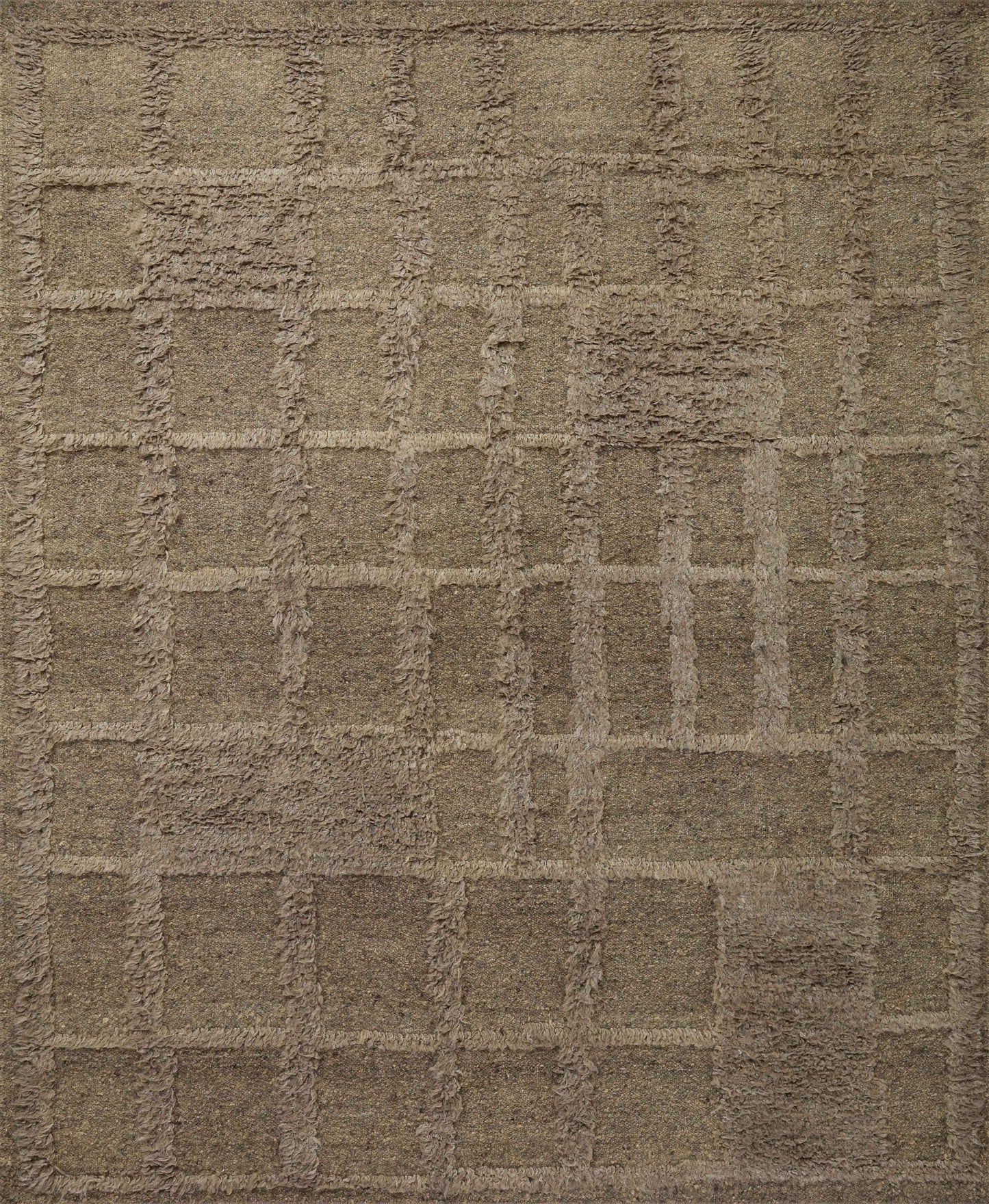 Cassian CAI Wool Indoor Area Rug from Loloi