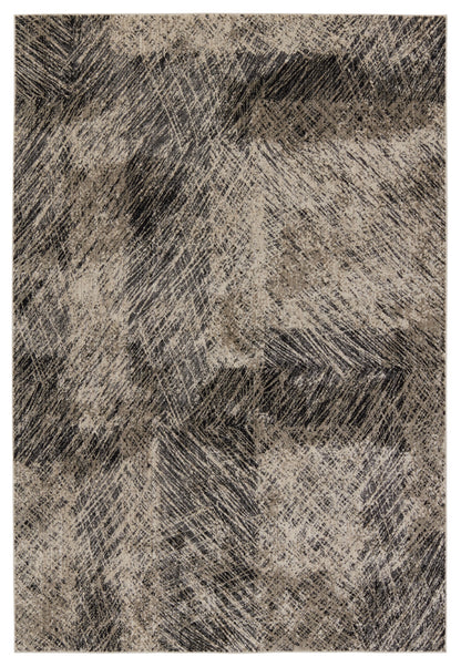Graphite Dairon Machine Made Synthetic Blend Indoor Area Rug From Jaipur Living