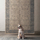 Huntington ED Synthetic Blend Indoor Area Rug from ED Ellen DeGeneres Crafted by Loloi