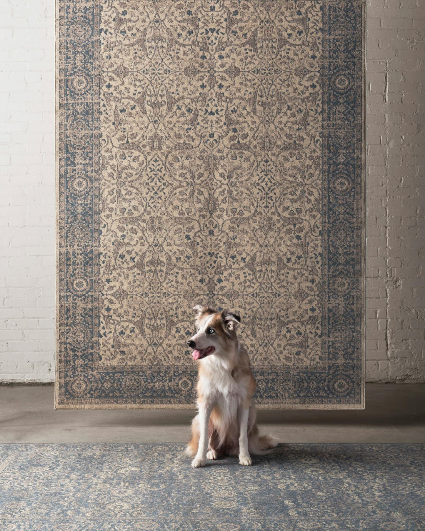 Huntington ED Synthetic Blend Indoor Area Rug from ED Ellen DeGeneres Crafted by Loloi