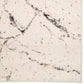 Illusions Marble Hill Synthetic Blend Indoor Area Rug by Orian Rugs
