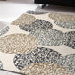 Dynamic Rugs MELODY 985014 Ivory Area Rug