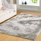 Dynamic Rugs PARADISE 2400 Silver Area Rug