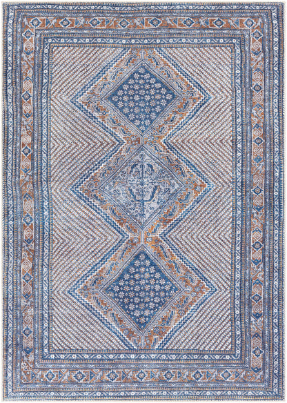Amelie 26791 Machine Woven Synthetic Blend Indoor Area Rug by Surya Rugs