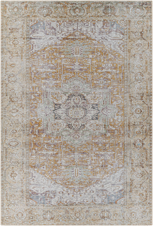 Amelie 31844 Machine Woven Synthetic Blend Indoor Area Rug by Surya Rugs