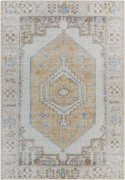 Amelie 31846 Machine Woven Synthetic Blend Indoor Area Rug by Surya Rugs
