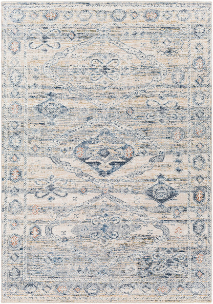 Amore 29634 Machine Woven Synthetic Blend Indoor Area Rug by Surya Rugs