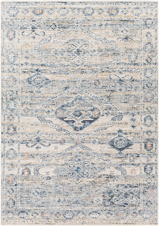 Amore 29634 Machine Woven Synthetic Blend Indoor Area Rug by Surya Rugs