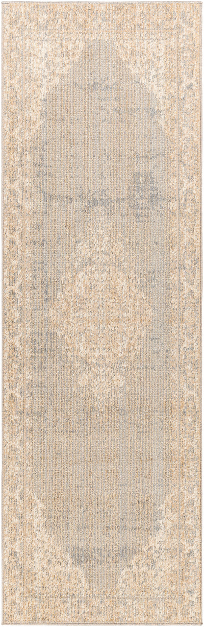 Amore 29649 Machine Woven Synthetic Blend Indoor Area Rug by Surya Rugs