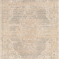 Amore 29649 Machine Woven Synthetic Blend Indoor Area Rug by Surya Rugs